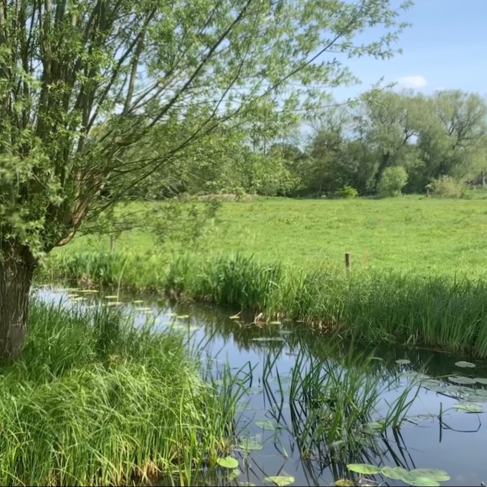 Meet your Posher, Marny